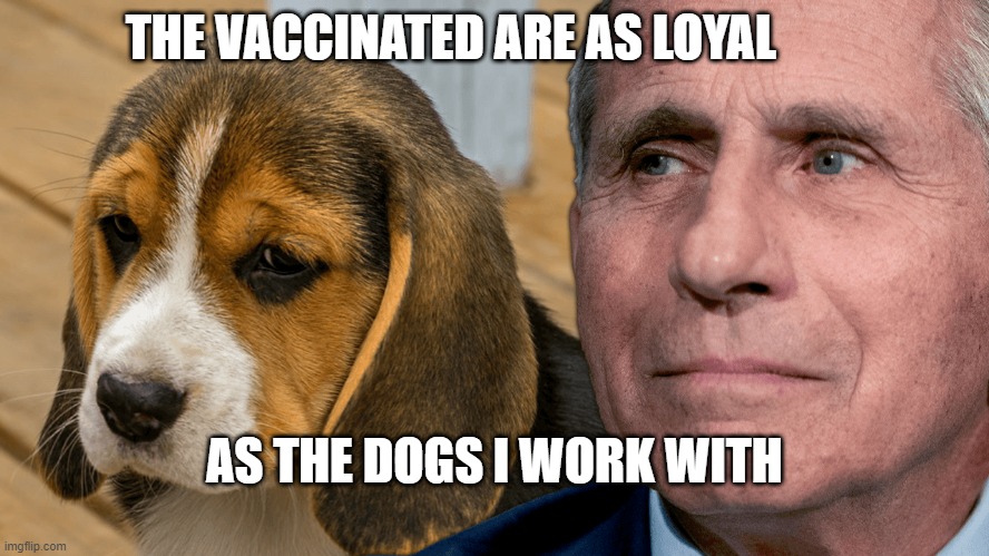 Fauci's Ouchie | THE VACCINATED ARE AS LOYAL; AS THE DOGS I WORK WITH | image tagged in fauci's ouchie | made w/ Imgflip meme maker