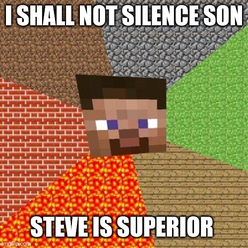 Minecraft Steve | I SHALL NOT SILENCE SON STEVE IS SUPERIOR | image tagged in minecraft steve | made w/ Imgflip meme maker