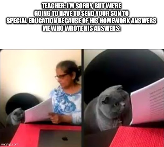 Cat Looking At Test | TEACHER: I’M SORRY, BUT WE’RE GOING TO HAVE TO SEND YOUR SON TO SPECIAL EDUCATION BECAUSE OF HIS HOMEWORK ANSWERS
ME WHO WROTE HIS ANSWERS: | image tagged in cat looking at test | made w/ Imgflip meme maker