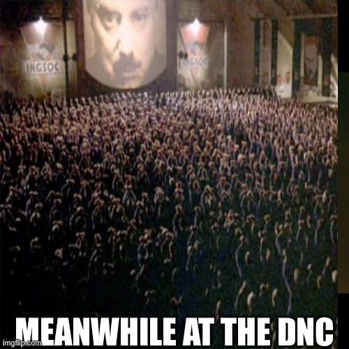 Harris DNC | MEANWHILE AT THE DNC | image tagged in harris,walz,obama,trump,dnc,lgbtq | made w/ Imgflip meme maker