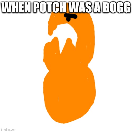 When Potch was a Bogg | WHEN POTCH WAS A BOGG | image tagged in boggs,potch | made w/ Imgflip meme maker