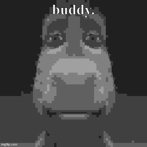 Donkey staring | buddy. | image tagged in donkey staring | made w/ Imgflip meme maker