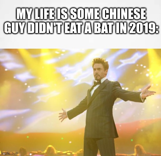 I was about to come out and get my own hobby until this pandemic happened | MY LIFE IS SOME CHINESE GUY DIDN'T EAT A BAT IN 2019: | image tagged in tony stark success,relatable,funny,memes,true story,covid-19 | made w/ Imgflip meme maker