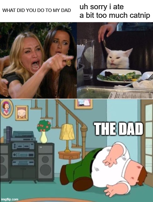 the catnip cat | WHAT DID YOU DO TO MY DAD; uh sorry i ate a bit too much catnip; THE DAD | image tagged in memes,woman yelling at cat,peter griffin dead | made w/ Imgflip meme maker