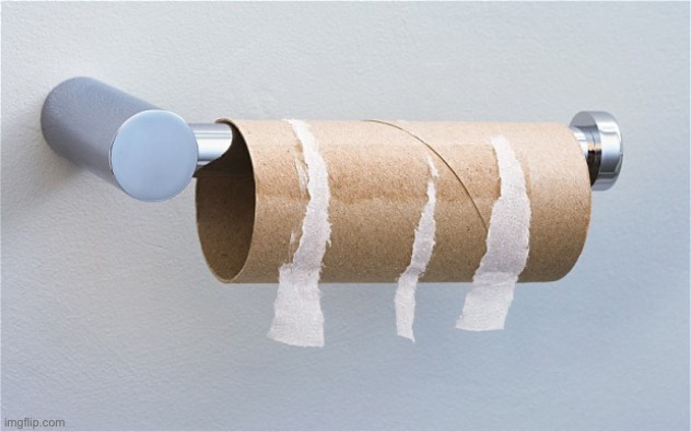 Empty toilet paper roll | image tagged in empty toilet paper roll | made w/ Imgflip meme maker