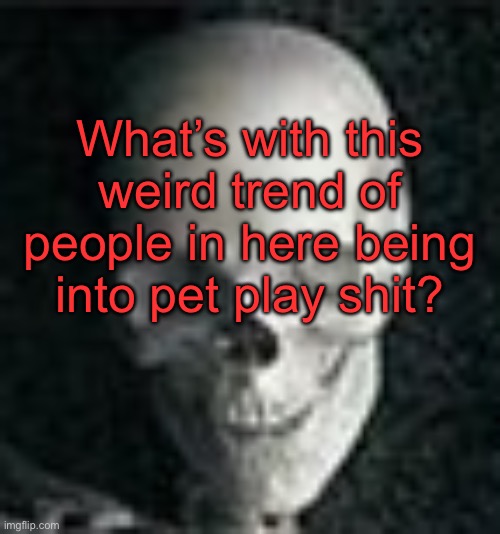 I mean, I can kinda get it, but damn | What’s with this weird trend of people in here being into pet play shit? | image tagged in skull | made w/ Imgflip meme maker