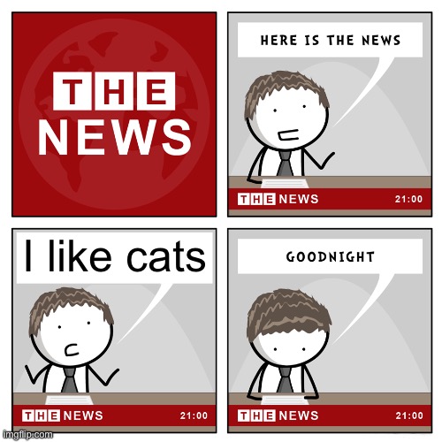 Cats rule! | I like cats | image tagged in the news | made w/ Imgflip meme maker