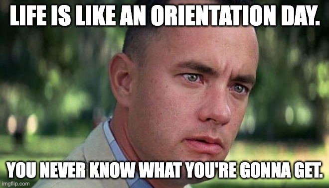 Academic Advising--Orientation Days | LIFE IS LIKE AN ORIENTATION DAY. YOU NEVER KNOW WHAT YOU'RE GONNA GET. | image tagged in forest gump | made w/ Imgflip meme maker