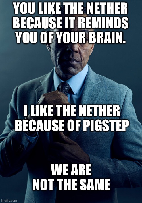 Gus Fring we are not the same | YOU LIKE THE NETHER BECAUSE IT REMINDS YOU OF YOUR BRAIN. I LIKE THE NETHER BECAUSE OF PIGSTEP WE ARE NOT THE SAME | image tagged in gus fring we are not the same | made w/ Imgflip meme maker