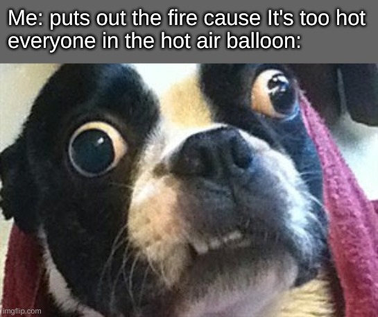 Eyes Wide Open Terrier | Me: puts out the fire cause It's too hot
everyone in the hot air balloon: | image tagged in eyes wide open terrier,memes,funny | made w/ Imgflip meme maker