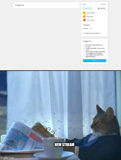 https://imgflip.com/m/chip | NEW STREAM | image tagged in cat newspaper | made w/ Imgflip meme maker