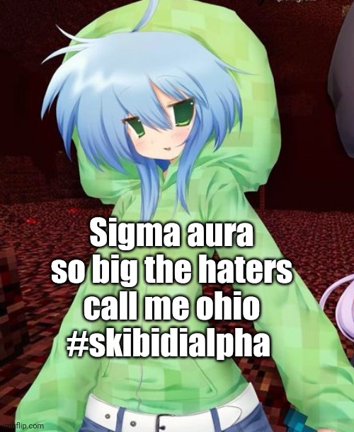 very obviously made to piss people off lmao | Sigma aura so big the haters call me ohio #skibidialpha | image tagged in yeahg | made w/ Imgflip meme maker