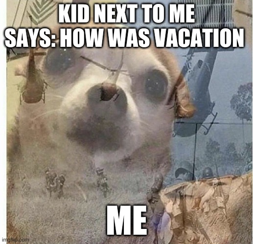 PTSD Chihuahua | KID NEXT TO ME SAYS: HOW WAS VACATION; ME | image tagged in ptsd chihuahua,memes | made w/ Imgflip meme maker