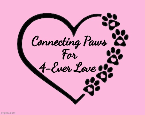 cats and dogs | Connecting Paws
For
4-Ever Love | image tagged in pets,animals | made w/ Imgflip meme maker