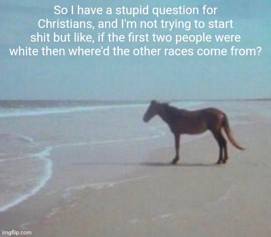 man. | So I have a stupid question for Christians, and I'm not trying to start shit but like, if the first two people were white then where'd the other races come from? | image tagged in man | made w/ Imgflip meme maker