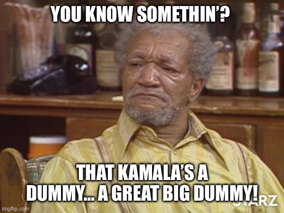 Fred sanford | YOU KNOW SOMETHIN’? THAT KAMALA’S A DUMMY… A GREAT BIG DUMMY! | image tagged in fred sanford | made w/ Imgflip meme maker