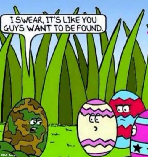 True Easter egg. | image tagged in easter | made w/ Imgflip meme maker