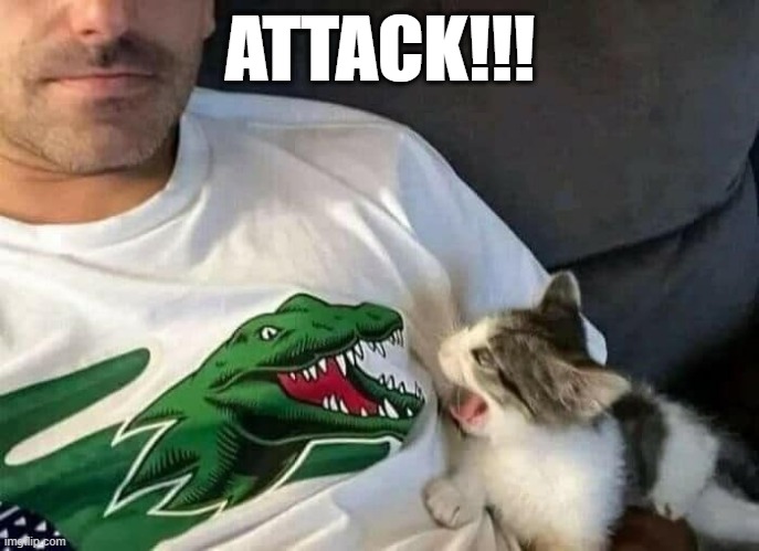 Screaming Cat | ATTACK!!! | image tagged in cats | made w/ Imgflip meme maker