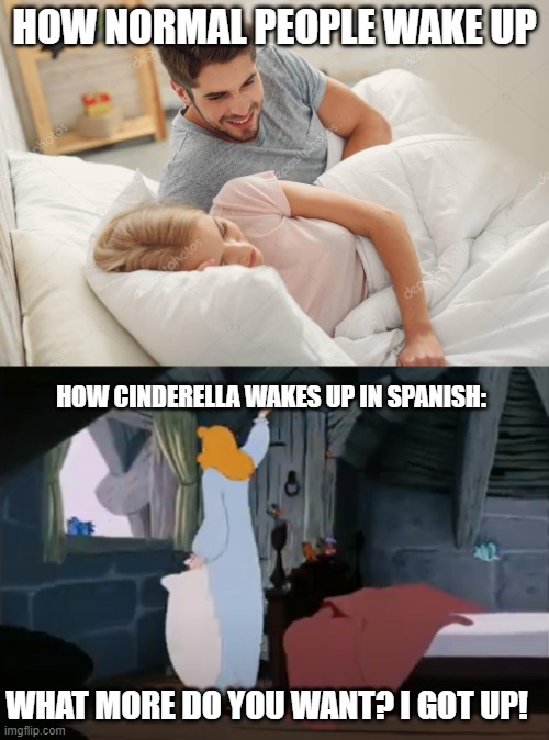 How Cinderella wakes up in spanish. | HOW NORMAL PEOPLE WAKE UP; HOW CINDERELLA WAKES UP IN SPANISH:; WHAT MORE DO YOU WANT? I GOT UP! | image tagged in honey wake up,cinderella | made w/ Imgflip meme maker