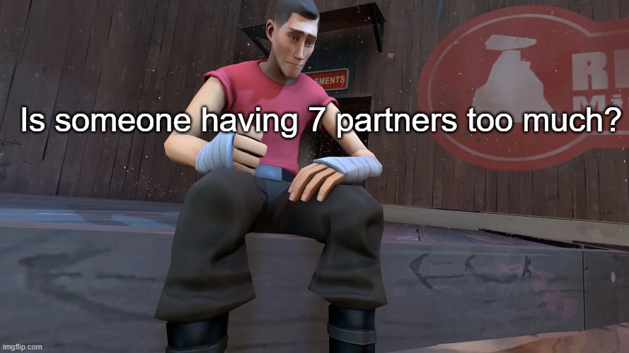 Is someone having 7 partners too much? | made w/ Imgflip meme maker