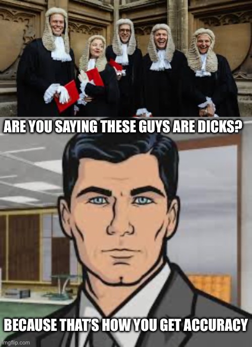 ARE YOU SAYING THESE GUYS ARE DICKS? BECAUSE THAT’S HOW YOU GET ACCURACY | image tagged in do you want ants archer | made w/ Imgflip meme maker