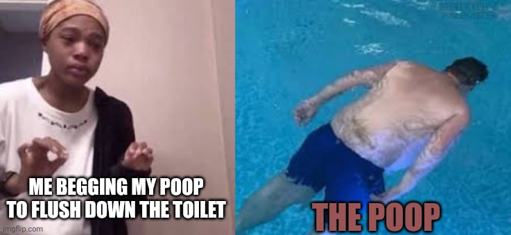 The leftover poop is the worst | ME BEGGING MY POOP TO FLUSH DOWN THE TOILET; THE POOP | image tagged in funny,relatable,poop | made w/ Imgflip meme maker