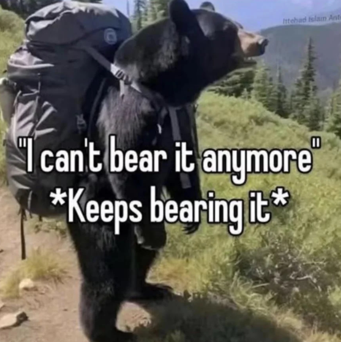 bear bearing Blank Meme Template