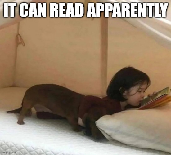 Reading Hot Dog | IT CAN READ APPARENTLY | image tagged in cursed image | made w/ Imgflip meme maker