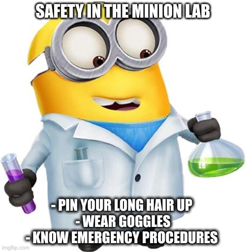 Lab Safety Minion | SAFETY IN THE MINION LAB; - PIN YOUR LONG HAIR UP 
- WEAR GOGGLES
- KNOW EMERGENCY PROCEDURES | image tagged in lab safety minion | made w/ Imgflip meme maker