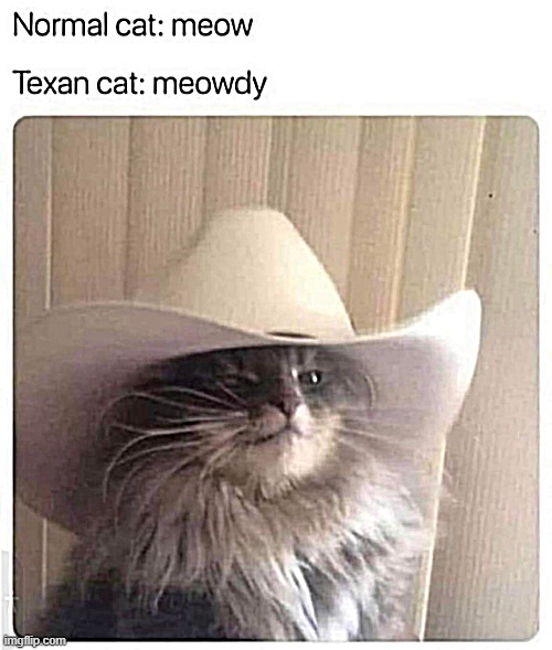 The Cat in the Hat ! | image tagged in texas rangers | made w/ Imgflip meme maker