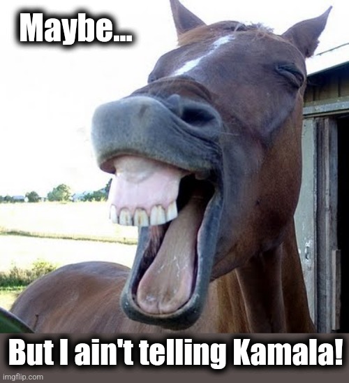 horse laugh | Maybe... But I ain't telling Kamala! | image tagged in horse laugh | made w/ Imgflip meme maker