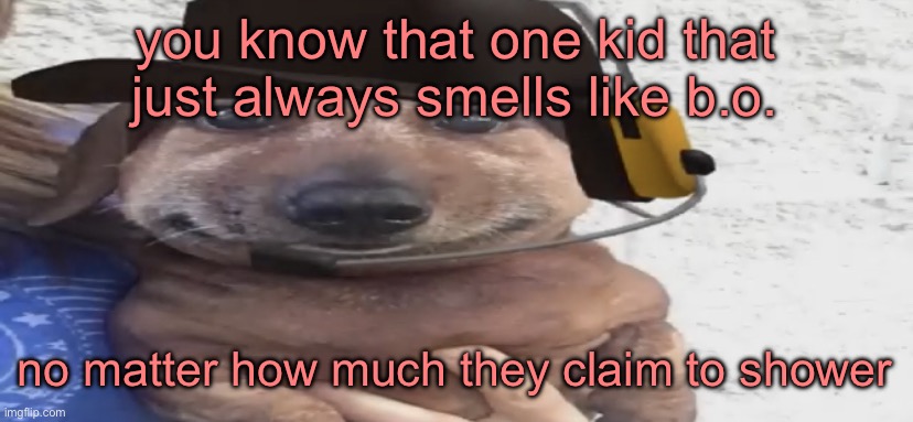 chucklenuts | you know that one kid that just always smells like b.o. no matter how much they claim to shower | image tagged in chucklenuts | made w/ Imgflip meme maker