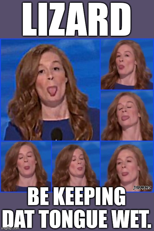 Da shitz that comes out a Democrat's mouth. | LIZARD; BE KEEPING DAT TONGUE WET. | image tagged in dnc,stupid liberals | made w/ Imgflip meme maker