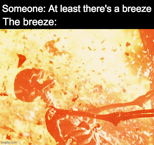 Hot breeze | Someone: At least there's a breeze; The breeze: | image tagged in fire skeleton | made w/ Imgflip meme maker