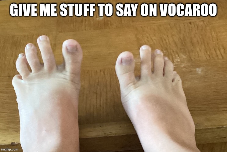IcyXD FEET!!! v4 | GIVE ME STUFF TO SAY ON VOCAROO | image tagged in icyxd feet v4 | made w/ Imgflip meme maker