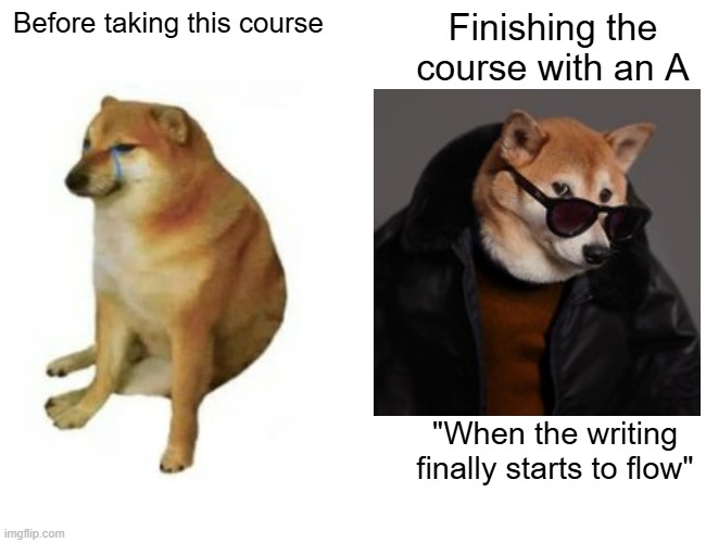 Buff Doge vs. Cheems Meme | Before taking this course; Finishing the course with an A; "When the writing finally starts to flow" | image tagged in memes,buff doge vs cheems | made w/ Imgflip meme maker