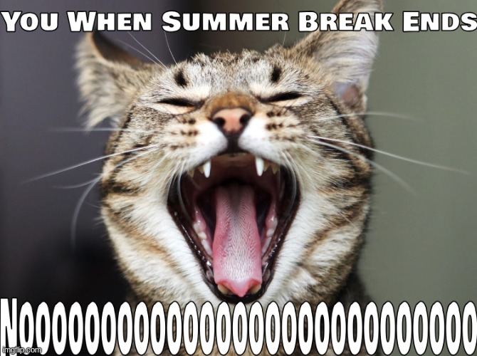 Summer Break be like: | image tagged in back to school,first day of school,i hate school,school sucks | made w/ Imgflip meme maker