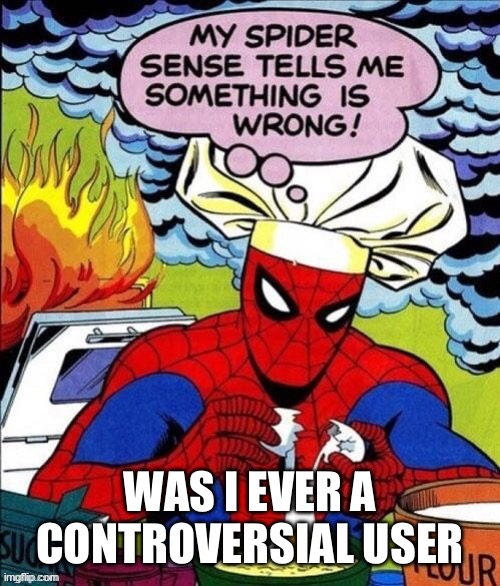 Fire | WAS I EVER A CONTROVERSIAL USER | image tagged in fire | made w/ Imgflip meme maker