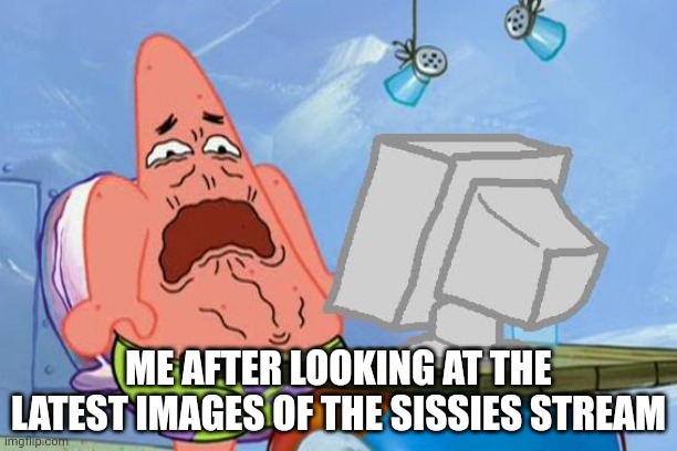 Patrick Star Internet Disgust | ME AFTER LOOKING AT THE LATEST IMAGES OF THE SISSIES STREAM | image tagged in patrick star internet disgust | made w/ Imgflip meme maker