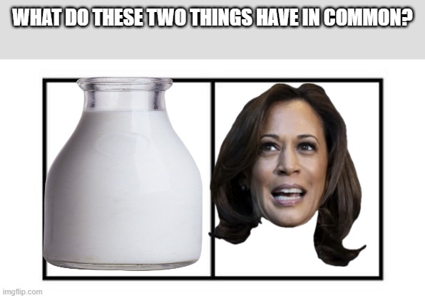 LOL!!!! | WHAT DO THESE TWO THINGS HAVE IN COMMON? | image tagged in two boxes,kamala harris,democrats,california,milk | made w/ Imgflip meme maker