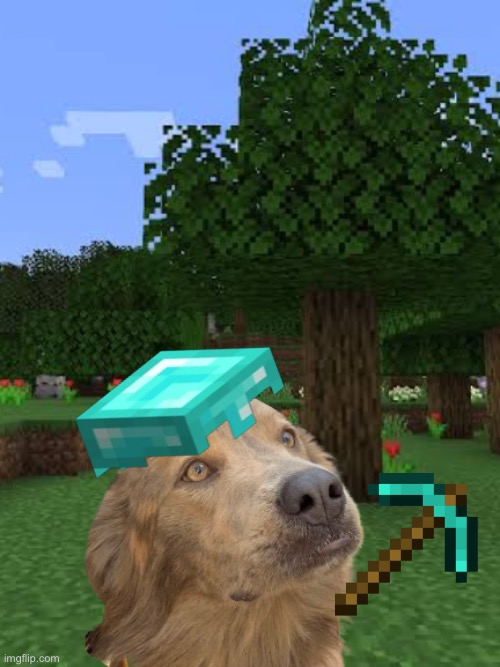 this is my dog | image tagged in dogs,minecraft | made w/ Imgflip meme maker