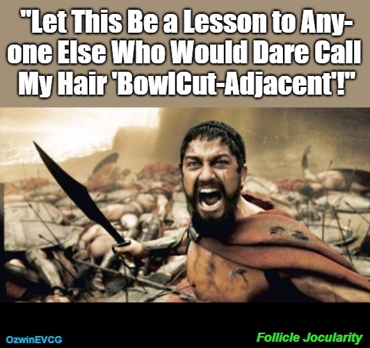 Follicle Jocularity | image tagged in leonidas,bad hair day,civilized discussion,sparta,revenge,warning | made w/ Imgflip meme maker