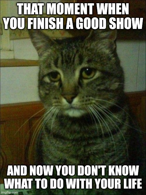 Depressed Cat Meme | THAT MOMENT WHEN YOU FINISH A GOOD SHOW; AND NOW YOU DON'T KNOW WHAT TO DO WITH YOUR LIFE | image tagged in memes,depressed cat | made w/ Imgflip meme maker