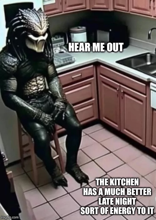 The kitchen when you can’t sleep | HEAR ME OUT; THE KITCHEN HAS A MUCH BETTER LATE NIGHT SORT OF ENERGY TO IT | image tagged in kitchen,late,night,alien meeting suggestion,trust me | made w/ Imgflip meme maker