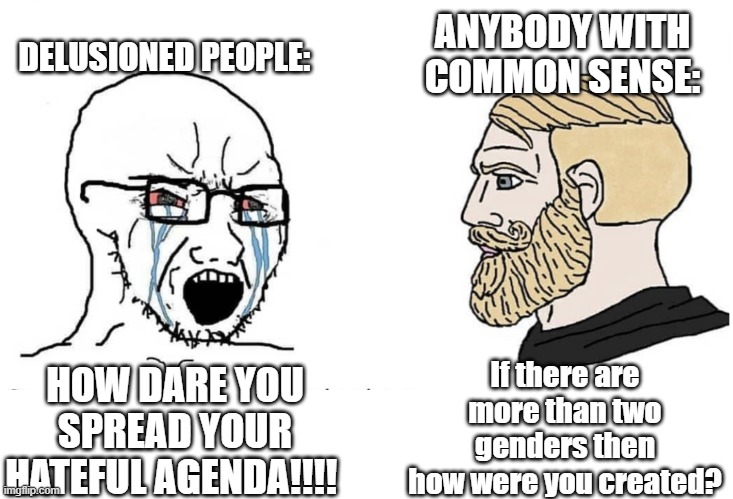 They should just accept the fact that they are wrong. MAGA 24! | ANYBODY WITH COMMON SENSE:; DELUSIONED PEOPLE:; If there are more than two genders then how were you created? HOW DARE YOU SPREAD YOUR HATEFUL AGENDA!!!! | image tagged in soyboy vs yes chad | made w/ Imgflip meme maker