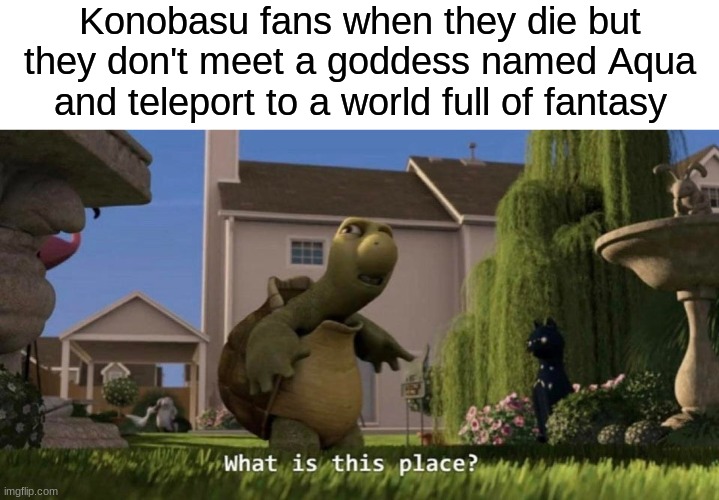 What is this place | Konobasu fans when they die but they don't meet a goddess named Aqua and teleport to a world full of fantasy | image tagged in what is this place | made w/ Imgflip meme maker