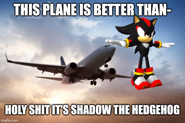 Air plane  | THIS PLANE IS BETTER THAN-; HOLY SHIT IT'S SHADOW THE HEDGEHOG | image tagged in air plane | made w/ Imgflip meme maker