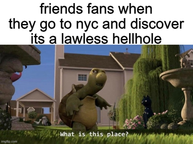 What is this place | friends fans when they go to nyc and discover its a lawless hellhole | image tagged in what is this place | made w/ Imgflip meme maker