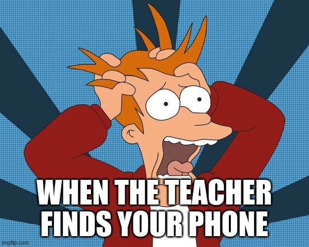 Fry Losing His Mind | WHEN THE TEACHER FINDS YOUR PHONE | image tagged in fry losing his mind | made w/ Imgflip meme maker