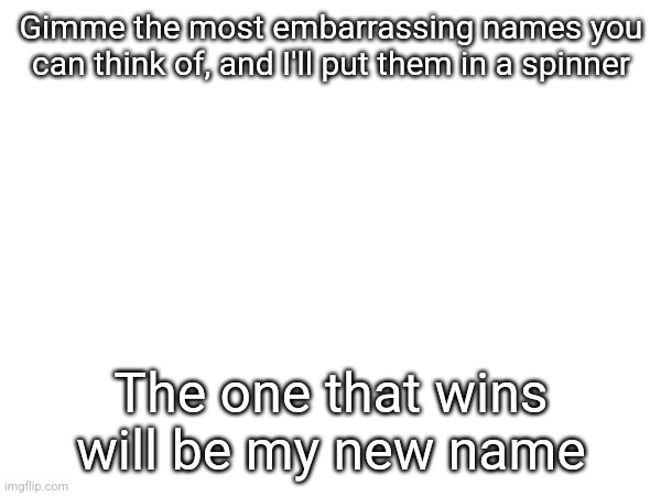 I feel like I'll regret this | Gimme the most embarrassing names you can think of, and I'll put them in a spinner; The one that wins will be my new name | image tagged in tag | made w/ Imgflip meme maker